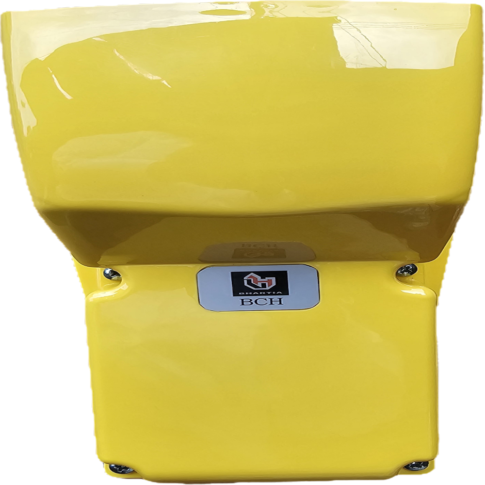BCH - BSG2PX1 Heavy Duty Foot Switch