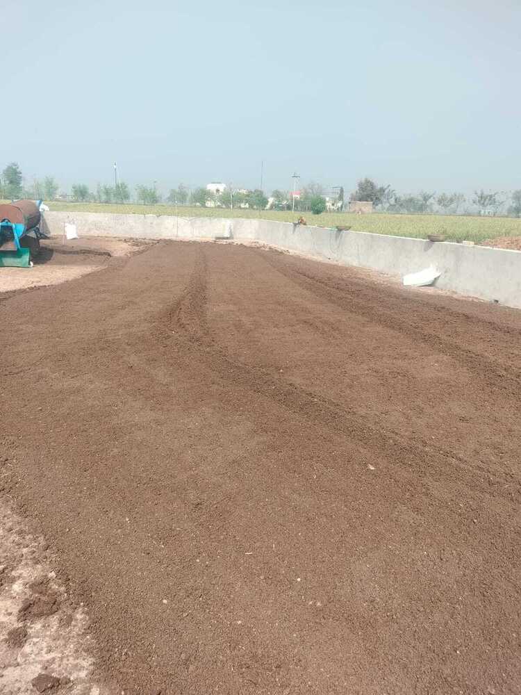 Cow Dung  Powder