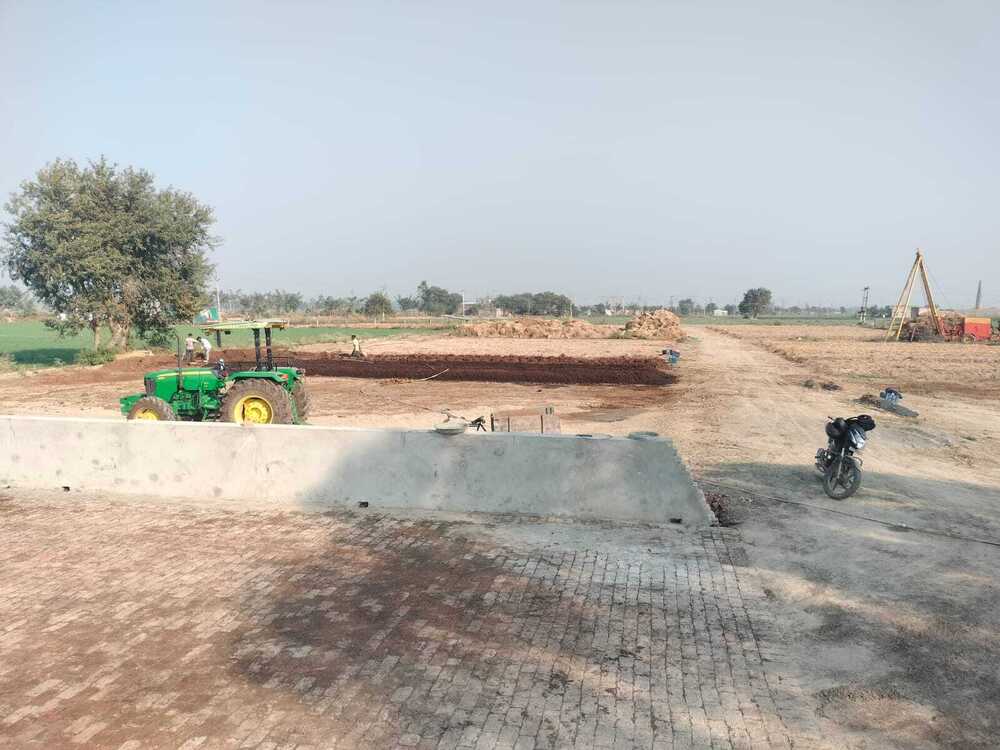 Cow Dung  Powder