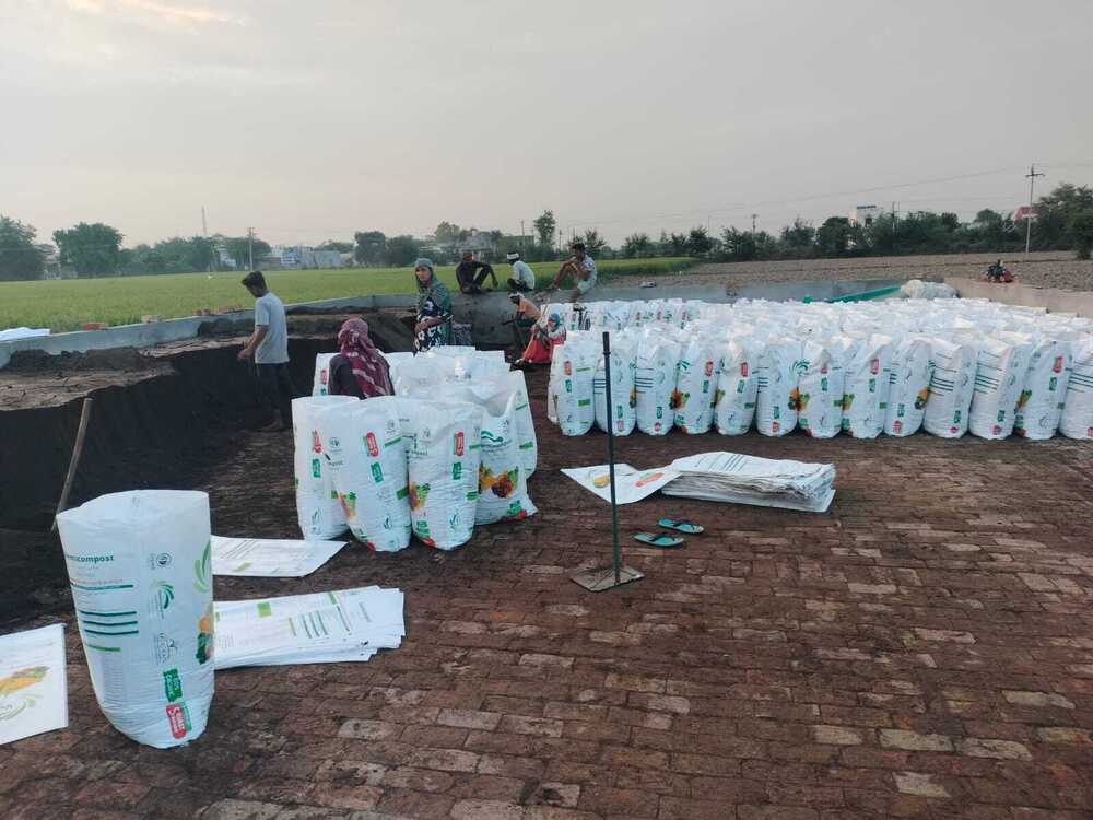 Cow Dung  Powder