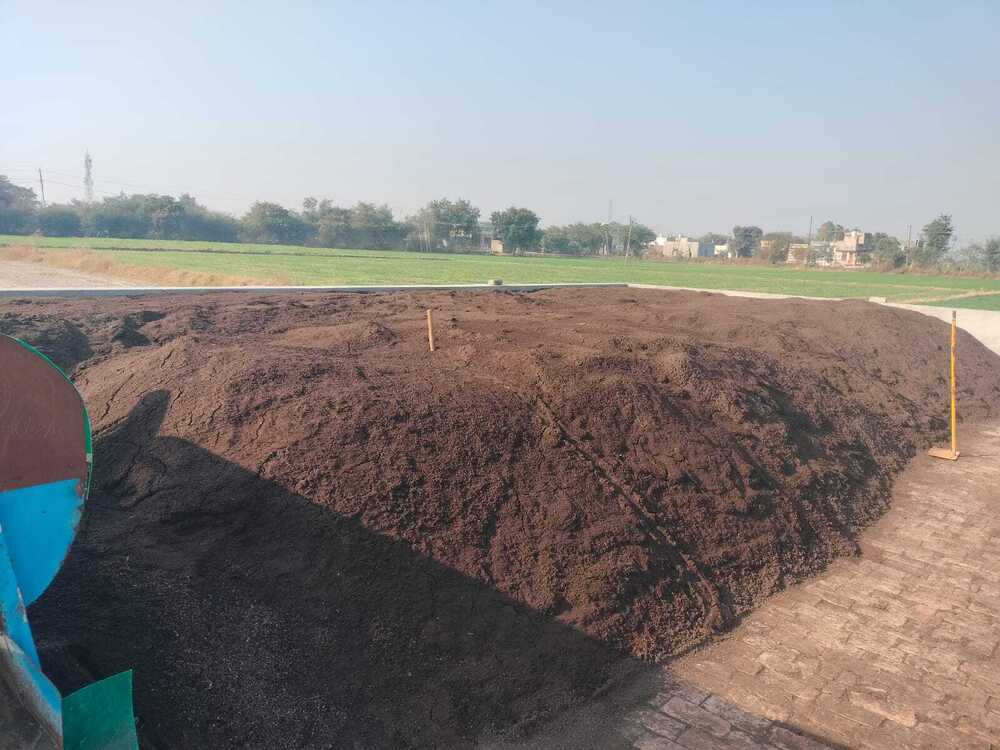 Cow Dung