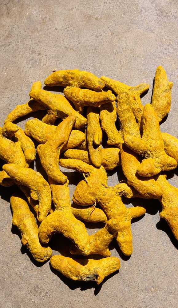 Turmeric Finger