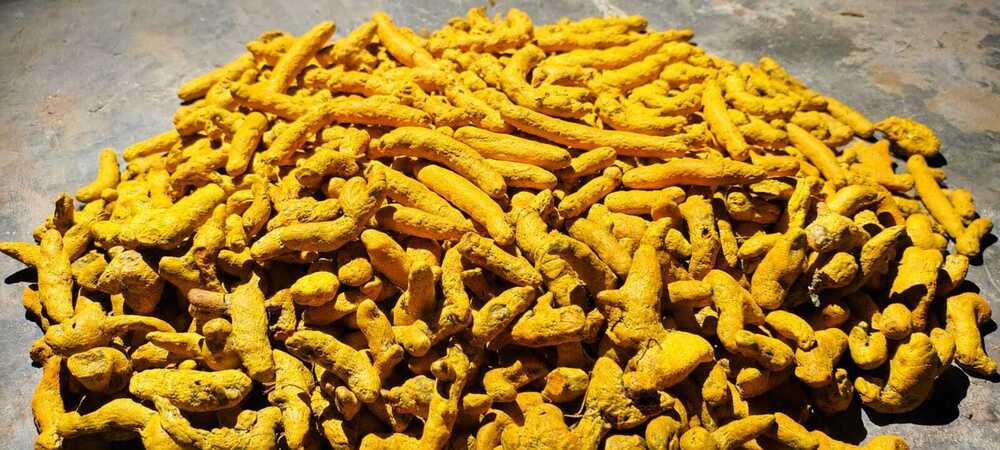 Turmeric Finger