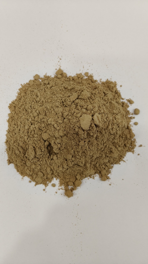 Amchur Powder