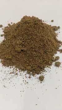 Garam Masala