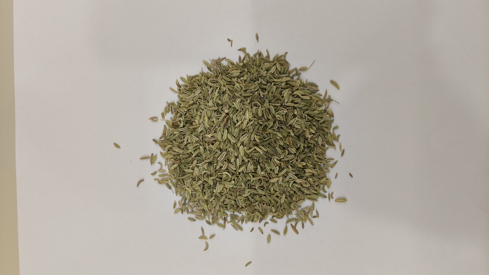 Fennel Seeds