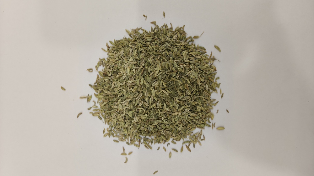 Fennel Seeds
