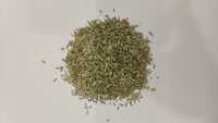 Fennel Seeds