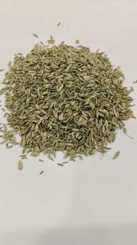 Fennel Seeds