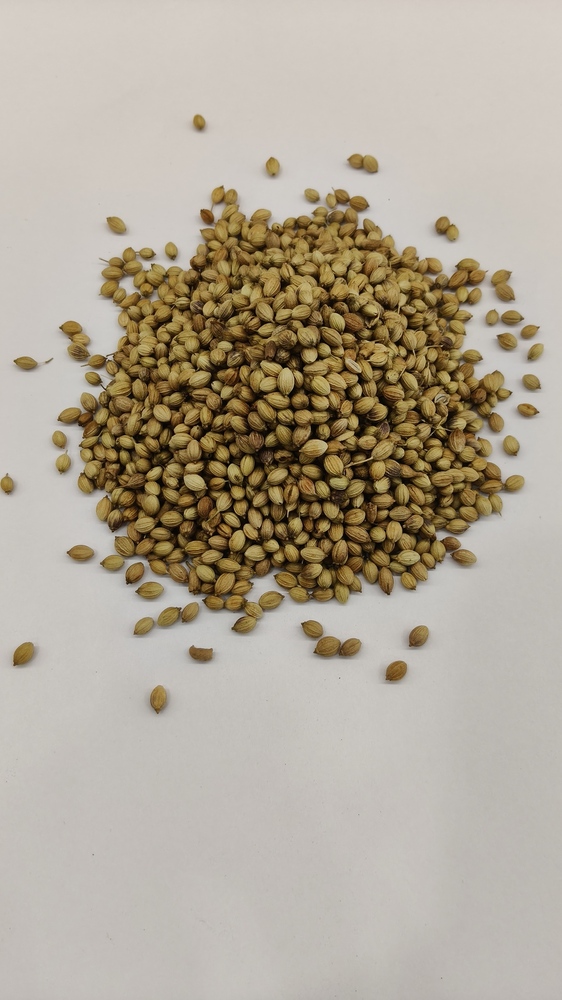Coriander Dhana Whole
