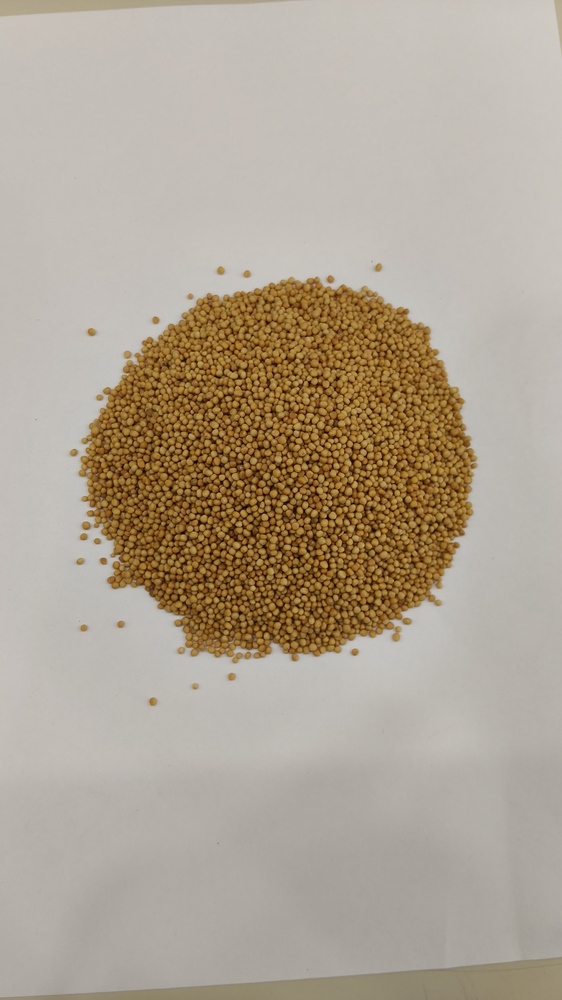 Yellow Mustard
