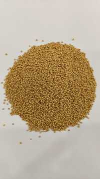 Yellow Mustard