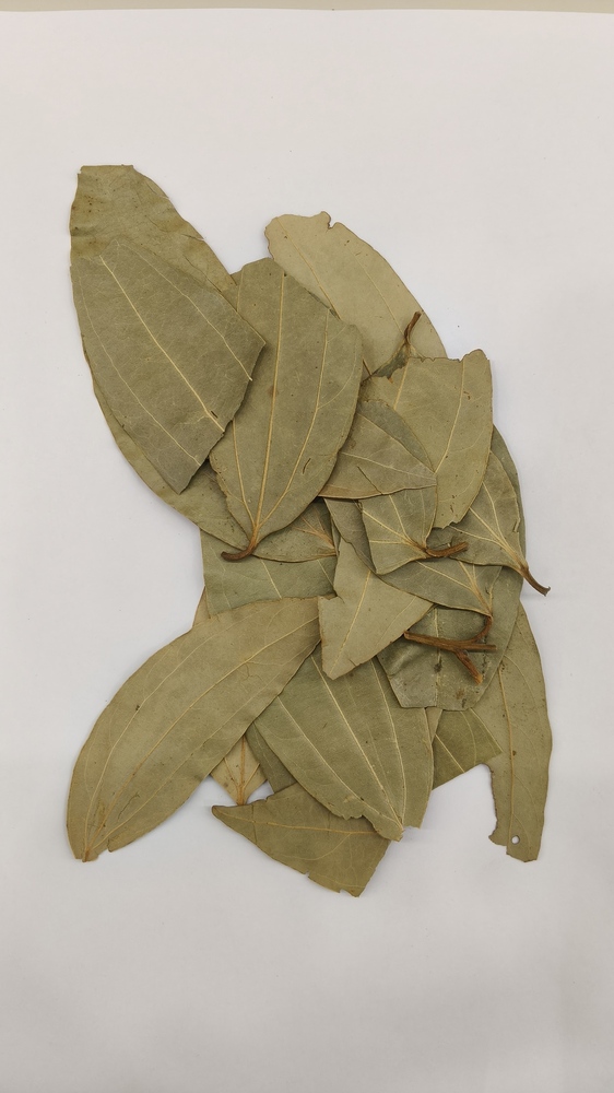 Tej Patta Bay Leaves