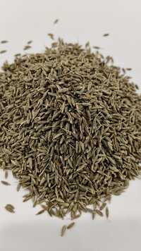 Cumin Seeds