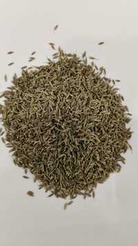 Cumin Seeds