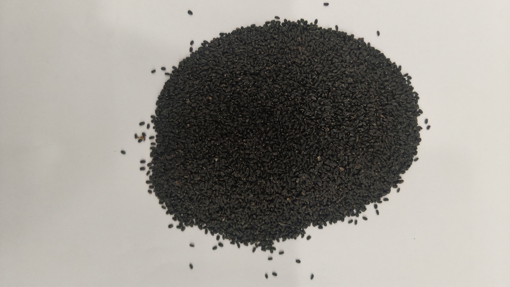 Basil Sabja Seed