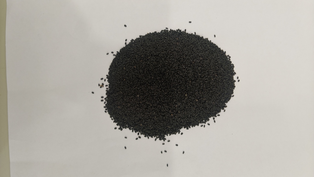 Basil Sabja Seed