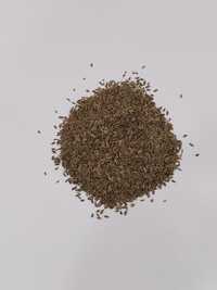Dill Seed