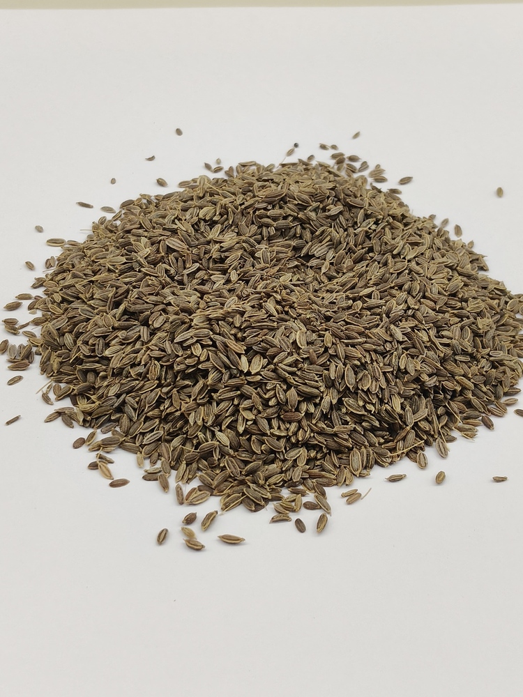 Dill Seed