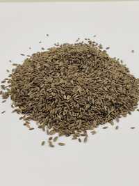 Dill Seed