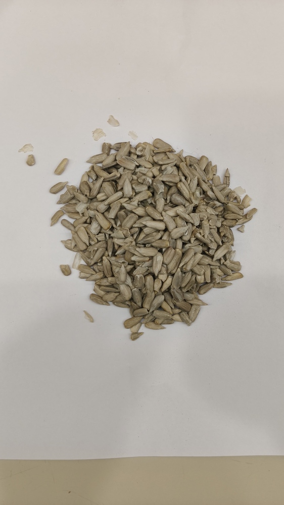 Sunflower Seeds