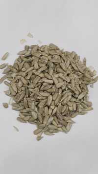 Sunflower Seeds