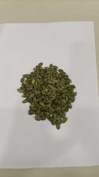 Pumpkin Seeds