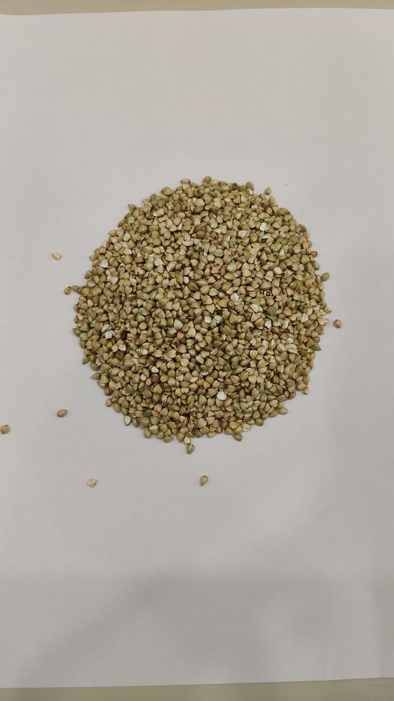 Buckwheat millet