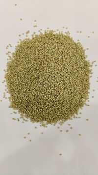 Browntop Millet