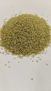 Browntop Millet