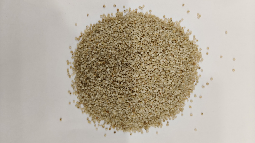 Barnyard Millet