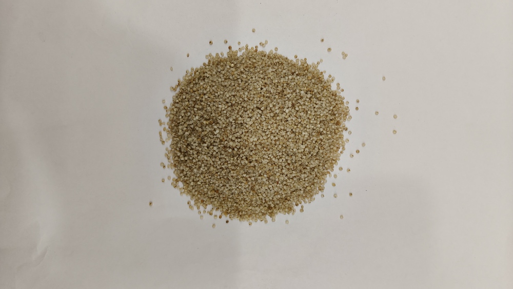 Barnyard Millet
