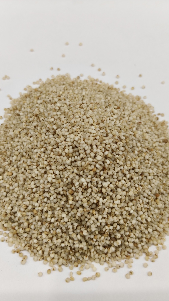Barnyard Millet