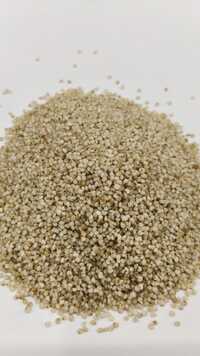 Barnyard Millet