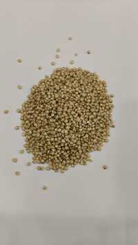 Kodo Millet
