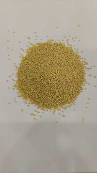 Proso Millet