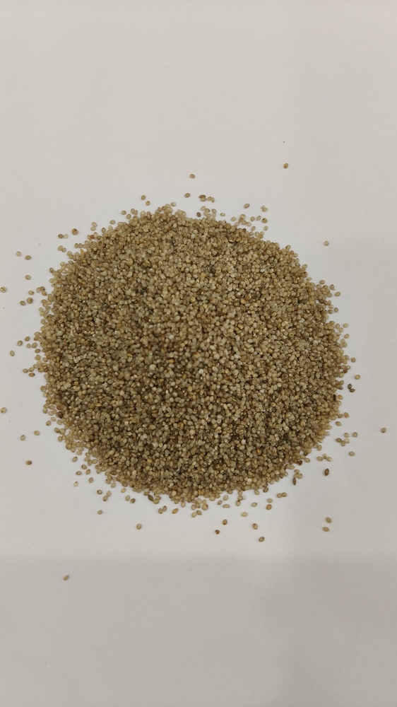 Kutki Millet