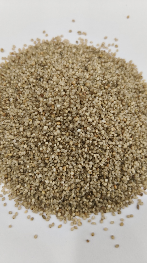 Kutki Millet