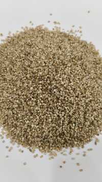Kutki Millet