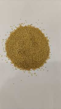 Foxtail Millet