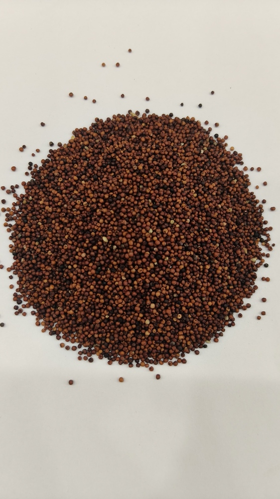 Ragi Millet