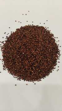 Ragi Millet