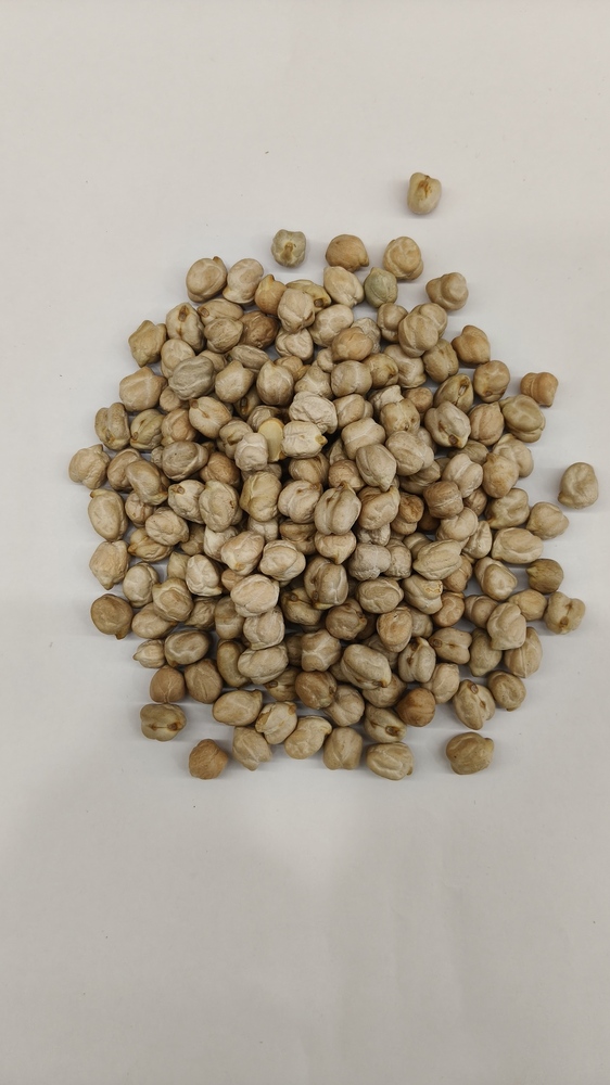 Kabuli Chana
