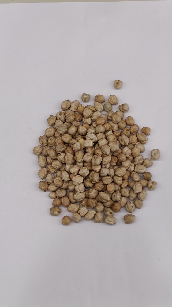 Kabuli Chana
