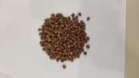 Kala Chana