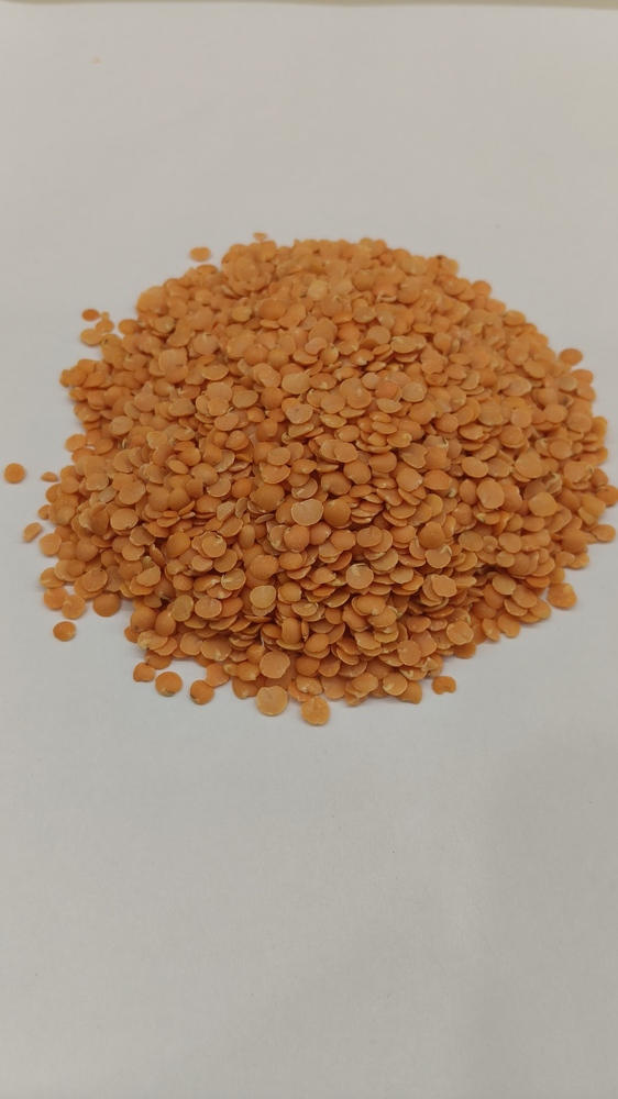 Masoor dal