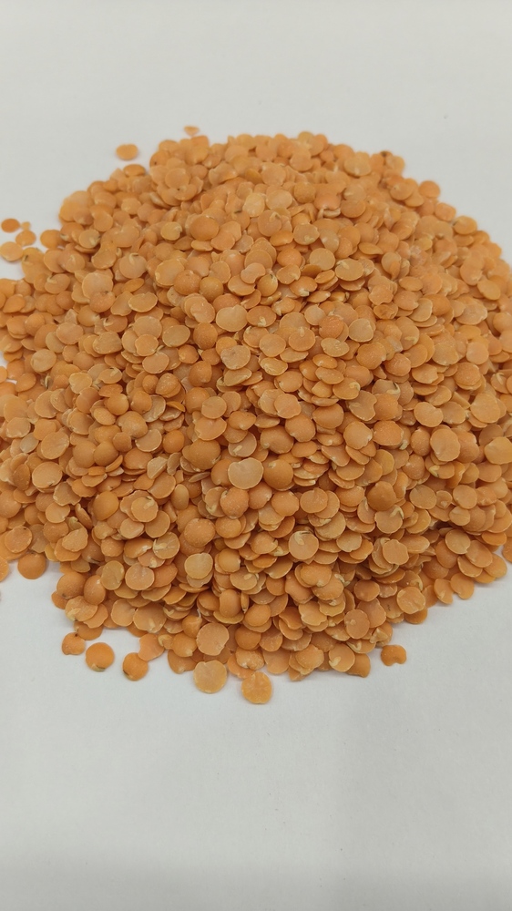Masoor dal