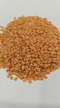Masoor dal