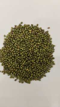Moong Whole
