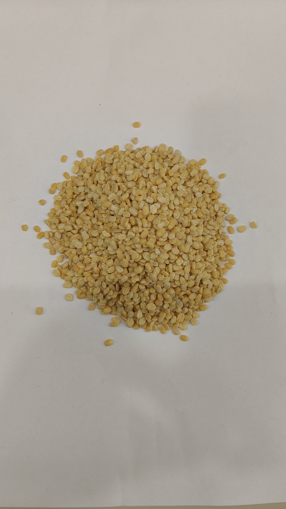 Mogar Dal